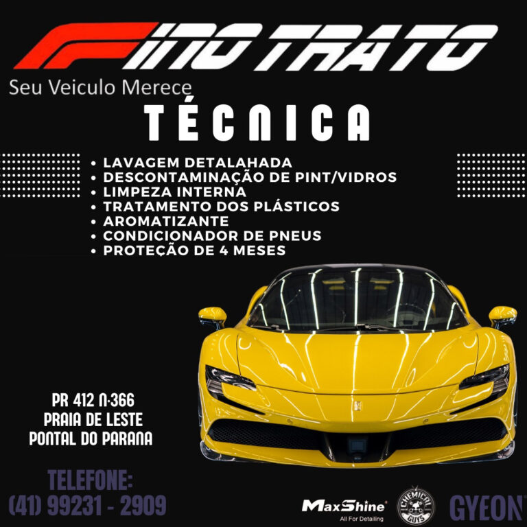 Fino Trato Lava Car e Estetica automotiva em Praia de Leste - Lavagem Técnica